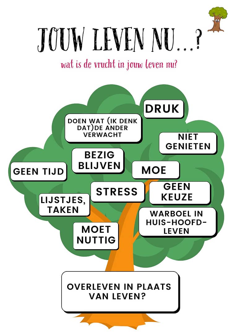 wat is de vrucht in jouw leven nu?